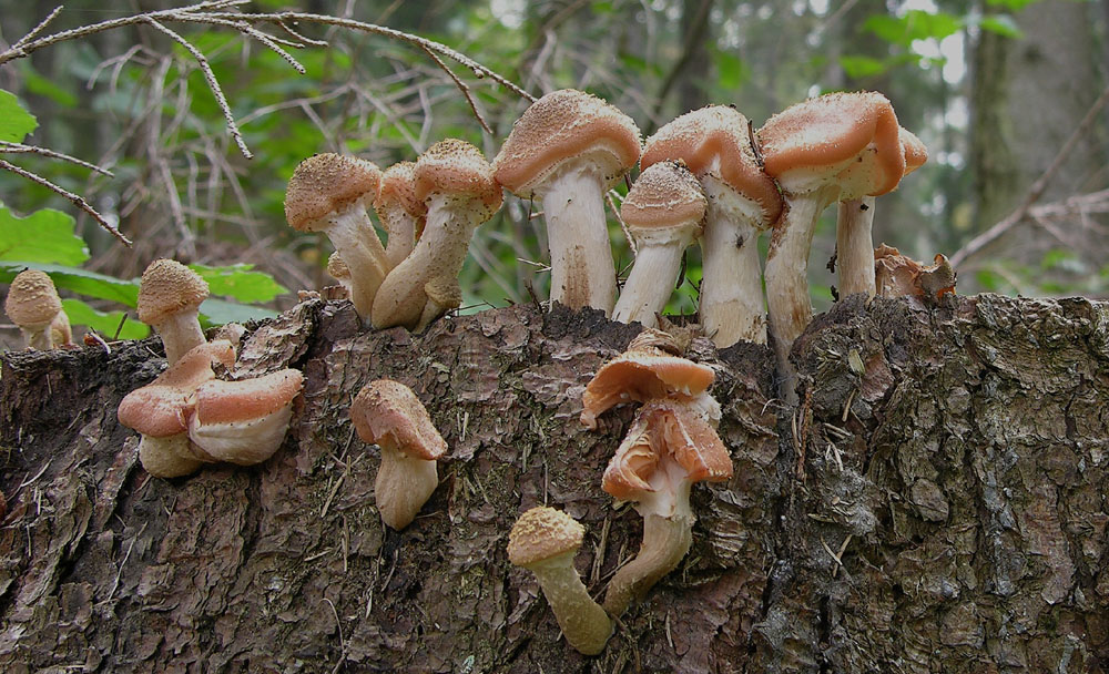 Questo � interessante....(e ne faccio un quiz)